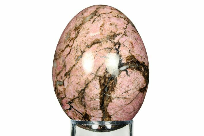 Polished Rhodonite Egg - California #308709